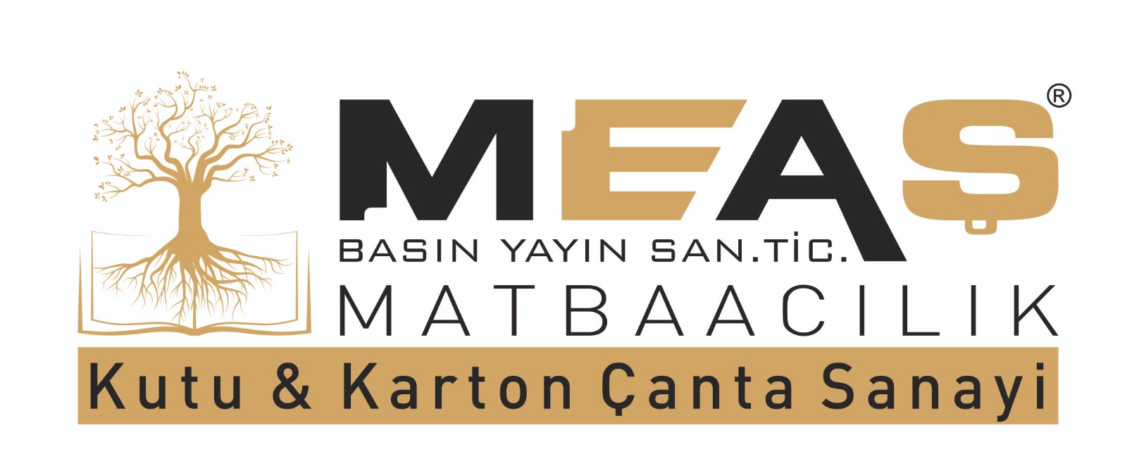 MEAŞ KUTU VE KARTON ÇANTA SANAYİ